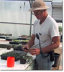 man_in_greenhouse